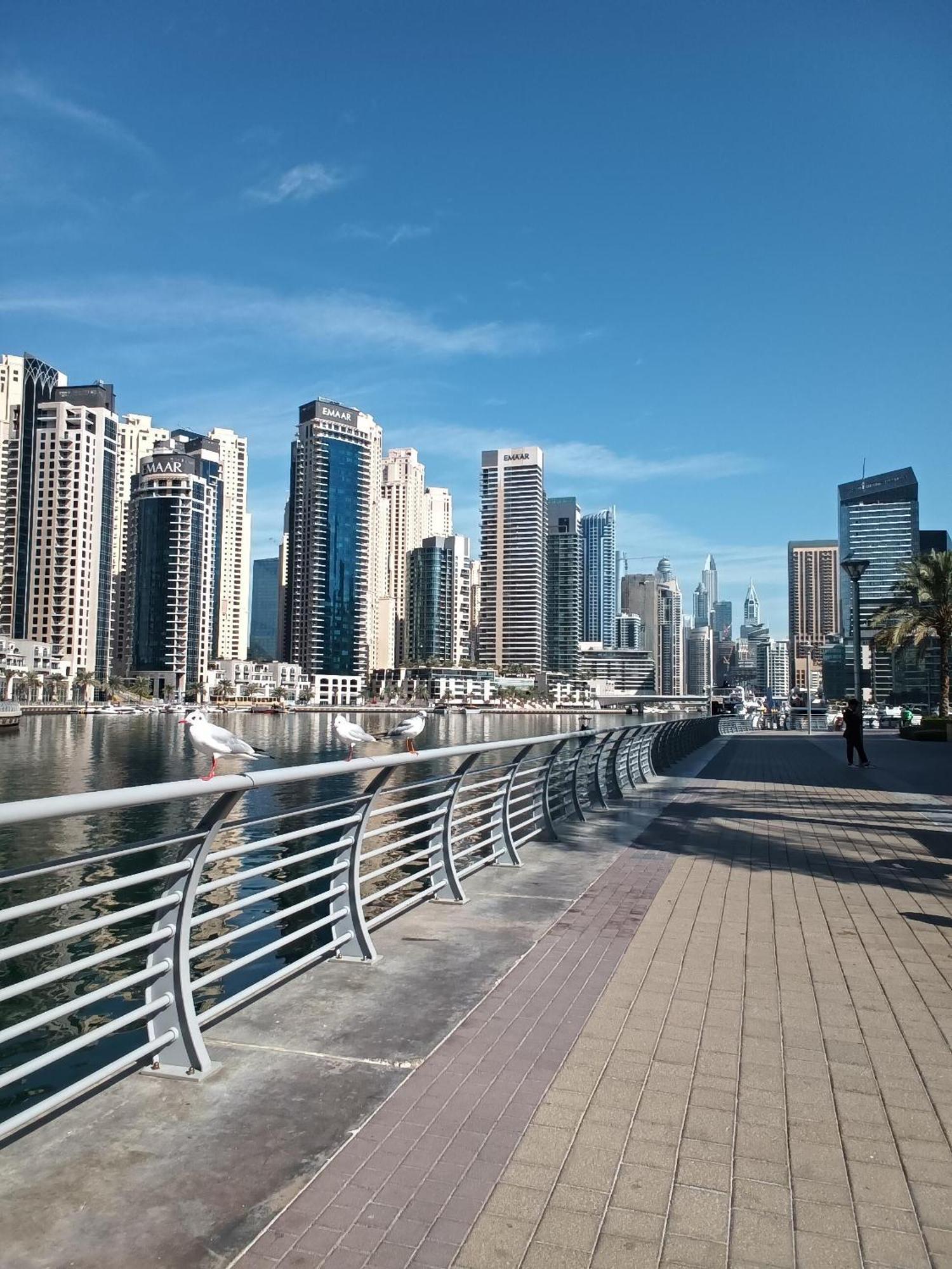 Stylish Marina View With Private Marina Walk Access